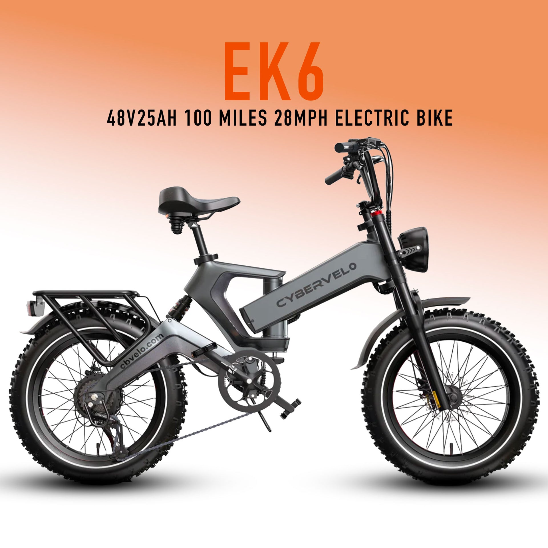 48V25AH 100 Miles With Peak 1000W